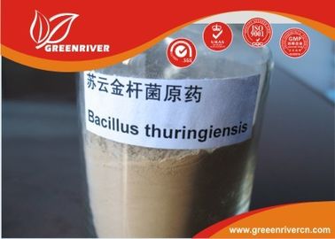 Trung Quốc White powder Bacillus thuringiensis Insecticide for lepidopterous larvae control nhà cung cấp