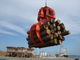 Large Capacity Electro Hydraulic Timber Grab / Wood Grabs / Log Grapple High Efficiency nhà cung cấp